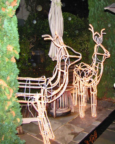 raindeer