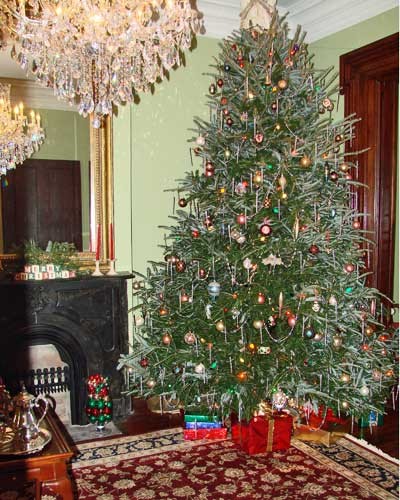 tree08